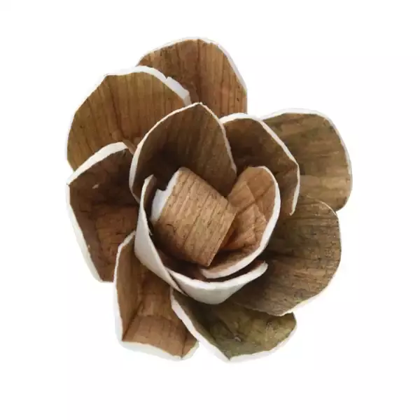 Natural brown Sola Zarah Flower made from sola bark, perfect for eco-friendly decor and crafts