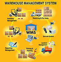 Warehouse & Cold Storage SOP Implementation Training