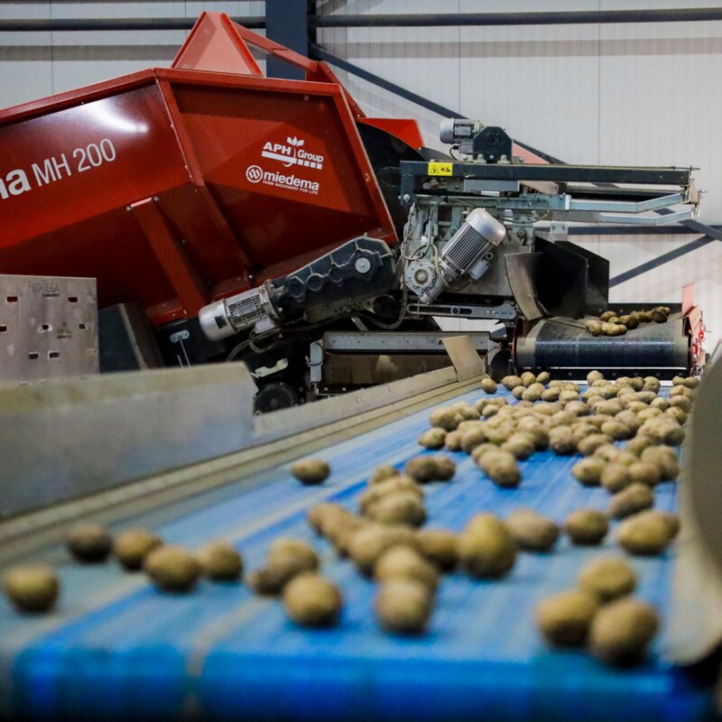 On-Farm Sorting & Packaging Service