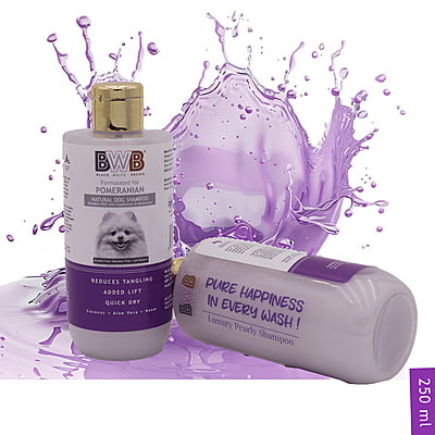 BWB SPITZ SHAMPOO_250ML
