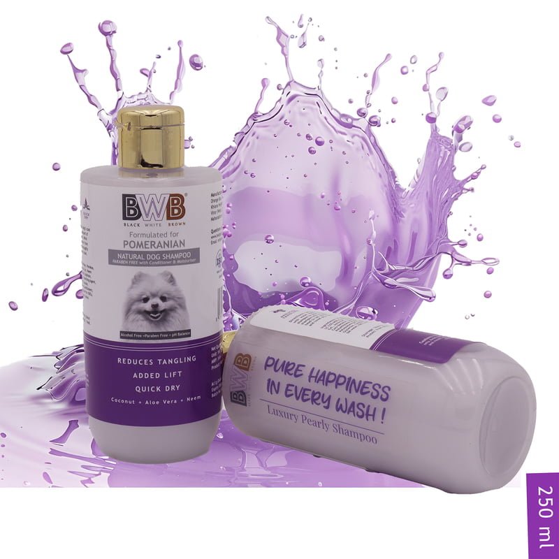 BWB SPITZ SHAMPOO_250ML