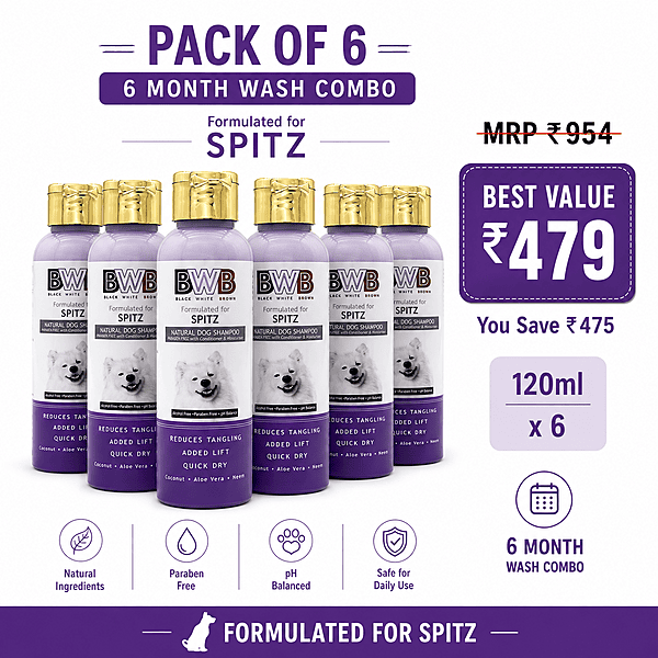 BWB SPITZ SHAMPOO-120ML BWB SPITZ SHAMPOO-120ML