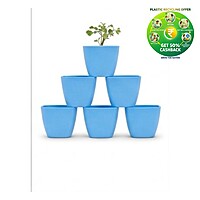 Square Plastic Plant Pot | Indoor & Decorative Planter | 2 inch