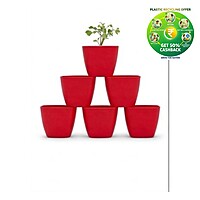 Square Plastic Plant Pot | Indoor & Decorative Planter | 2 inch