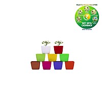 Square Plastic Plant Pot | Indoor & Decorative Planter |3 Inch
