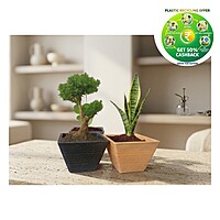 Rufwood Square Plastic Plant Pot | 4 Inch | Indoor & Decorative Planter