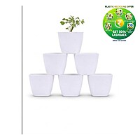Square Plastic Plant Pot | Indoor & Decorative Planter | 2 inch