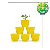 Square Plastic Plant Pot | Indoor & Decorative Planter | 2 inch