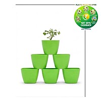 Square Plastic Plant Pot | Indoor & Decorative Planter | 2 inch