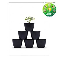 Square Plastic Plant Pot | Indoor & Decorative Planter | 2 inch