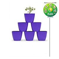 Square Plastic Plant Pot | Indoor & Decorative Planter | 2 inch