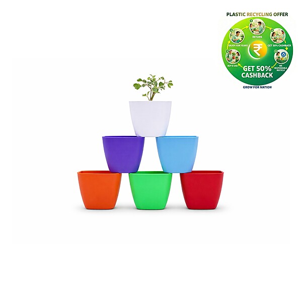 Square Plastic Plant Pot | Indoor & Decorative Planter | 2 inch