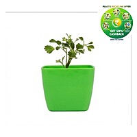 Square Plastic Plant Pot | Indoor & Decorative Planter |3 Inch