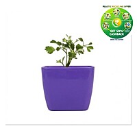 Square Plastic Plant Pot | Indoor & Decorative Planter |3 Inch