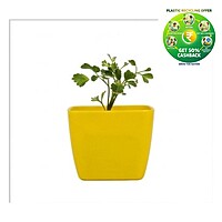 Square Plastic Plant Pot | Indoor & Decorative Planter |3 Inch