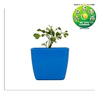 Square Plastic Plant Pot | Indoor & Decorative Planter |3 Inch