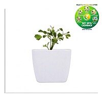 Square Plastic Plant Pot | Indoor & Decorative Planter |3 Inch