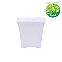 Square Plastic Plant Pot | Indoor & Decorative Planter | 3.25 inch