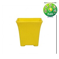 Square Plastic Plant Pot | Indoor & Decorative Planter | 3.25 inch