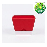 Square Plastic Plant Pot | Indoor & Decorative Planter |5.25 inch