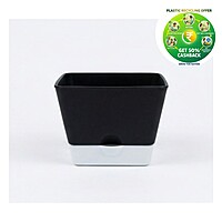 Square Plastic Plant Pot | Indoor & Decorative Planter |5.25 inch