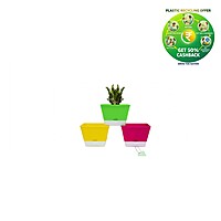 Square Plastic Plant Pot | Indoor & Decorative Planter |5.25 inch