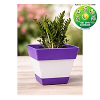 Square Plastic Plant Pot | Indoor & Decorative Planter | 6 inch