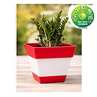 Square Plastic Plant Pot | Indoor & Decorative Planter | 6 inch