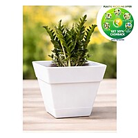 Square Plastic Plant Pot | Indoor & Decorative Planter | 6 inch