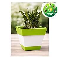 Square Plastic Plant Pot | Indoor & Decorative Planter | 6 inch