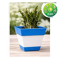 Square Plastic Plant Pot | Indoor & Decorative Planter | 6 inch