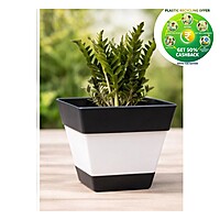 Square Plastic Plant Pot | Indoor & Decorative Planter | 6 inch