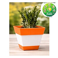 Square Plastic Plant Pot | Indoor & Decorative Planter | 6 inch