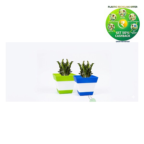 Square Plastic Plant Pot | Indoor & Decorative Planter | 6 inch
