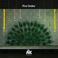 Peacock Feather (PRE-ORDER)