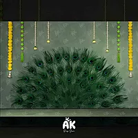 Peacock Feather