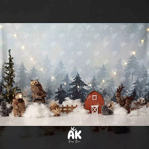 Winter Retreat