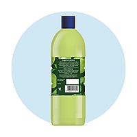 SRICLEAN | Green Apple Perfumed Phenyle 1L