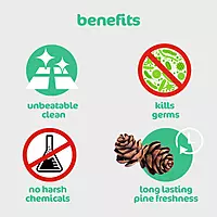 SRICLEAN | Pine Perfumed Phenyle 1L
