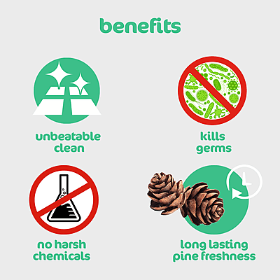 SRICLEAN | Pine Perfumed Phenyle 1L