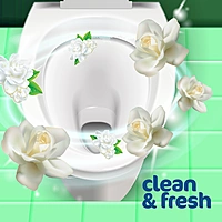 HYGIX | Floral Fresh Toilet Cleaner 500ML