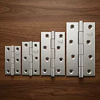 Palam SS Hinges
