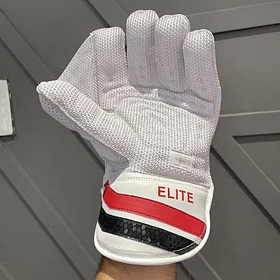 SS ELITE WK GLOVES