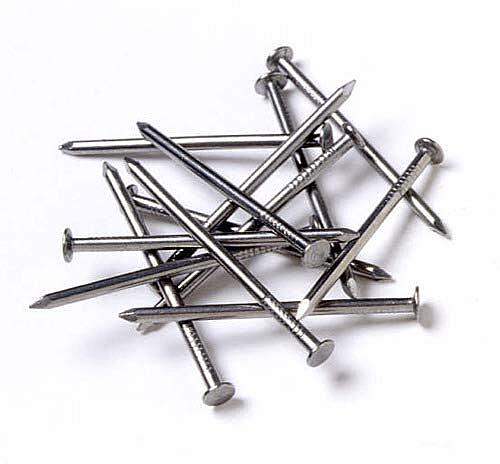 SS Wire Nails