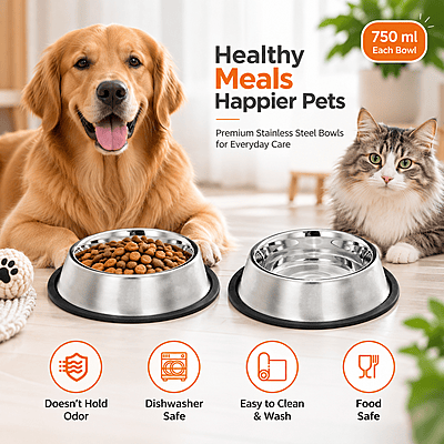 Anti Skid stainless steel bowl  - Pack of 2