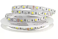 Strip 60 LEDs/Mtr (CW)