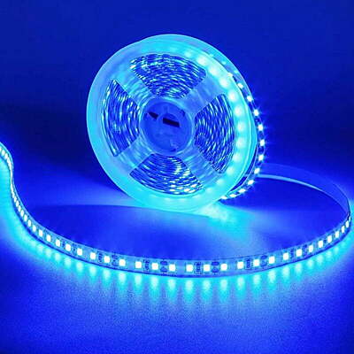 Strip 120 LEDs/Mtr (Blue) 5mm