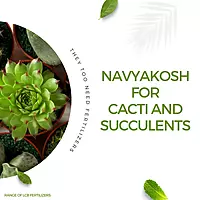 LCB Fertilizers: Navyakosh For Cacti and Succulents (1kg)