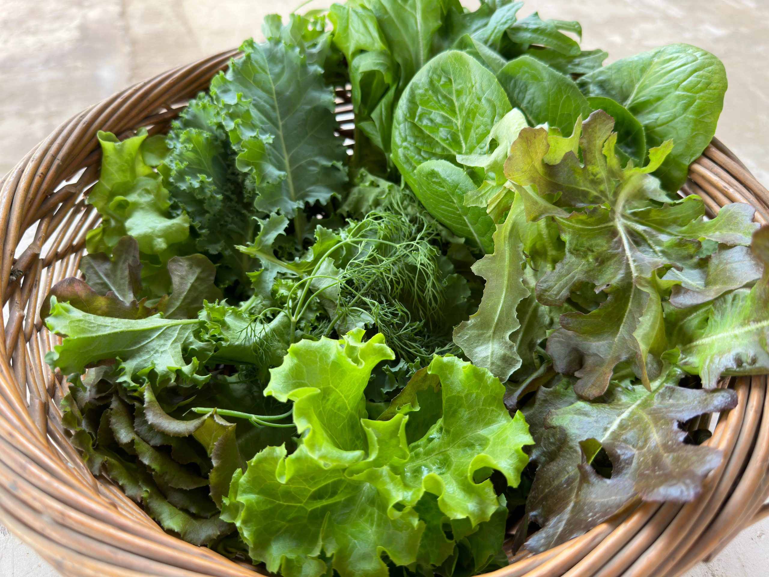 Salad Mix (Summer/Autumn Mix) 250gms