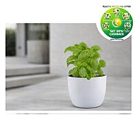 Sunny Plastic Plant Pot | Small / Medium / Large | Decorative Garden Planter